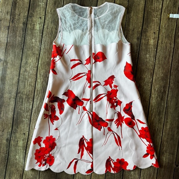 🌹 Ted Baker London “Jaazmin” Fantasia Scallop Hem Floral Dress Size 2 (US 6) - Picture 7 of 8
